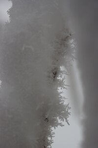 Randonnée féerique vers le Lac de Barbeyroux, IMG_1400