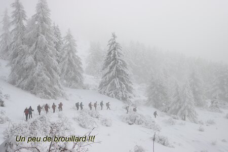 Randonnée féerique vers le Lac de Barbeyroux, IMG_1401