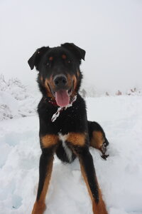 Randonnée féerique vers le Lac de Barbeyroux, IMG_1410