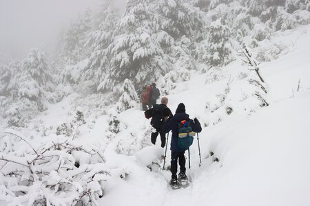 Randonnée féerique vers le Lac de Barbeyroux, IMG_1413