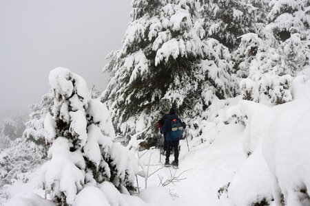 Randonnée féerique vers le Lac de Barbeyroux, IMG_1414