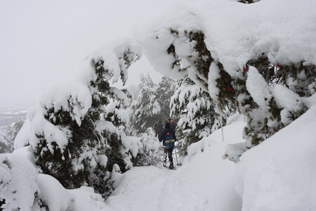 Randonnée féerique vers le Lac de Barbeyroux, IMG_1417