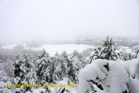 Randonnée féerique vers le Lac de Barbeyroux, IMG_1418