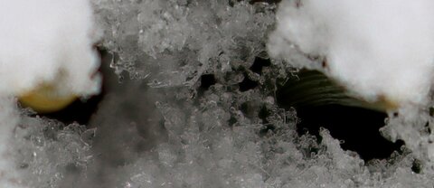 Randonnée féerique vers le Lac de Barbeyroux, IMG_1423