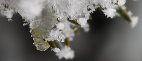 Randonnée féerique vers le Lac de Barbeyroux, IMG_1426