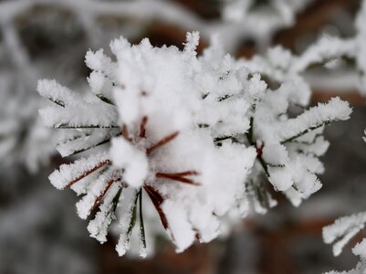 Randonnée féerique vers le Lac de Barbeyroux, IMG_1430
