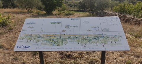 photos-umap, 20250912_table orientation