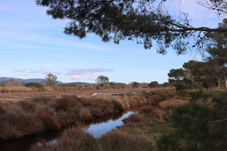 Séjour à la Londe les Maures (1er jour), S&eacute;jour &agrave; la Londe les Maures 015