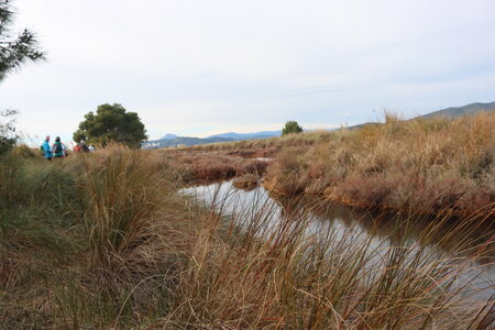 Séjour à la Londe les Maures (1er jour), S&eacute;jour &agrave; la Londe les Maures 017