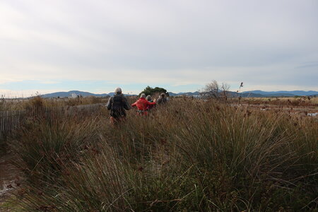 Séjour à la Londe les Maures (1er jour), S&eacute;jour &agrave; la Londe les Maures 019