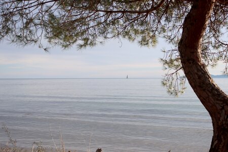 Séjour à la Londe les Maures (1er jour), S&eacute;jour &agrave; la Londe les Maures 025