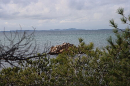 Séjour à la Londe les Maures (2ème jour), S&eacute;jour &agrave; la Londe les Maures 041