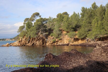 Séjour à la Londe les Maures (2ème jour), S&eacute;jour &agrave; la Londe les Maures 043