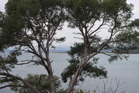 Séjour à la Londe les Maures (2ème jour), S&eacute;jour &agrave; la Londe les Maures 046
