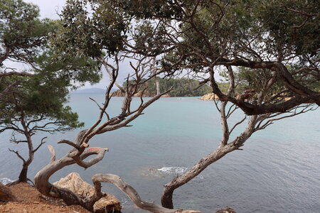 Séjour à la Londe les Maures (2ème jour), S&eacute;jour &agrave; la Londe les Maures 053