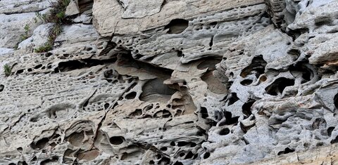 Séjour à la Londe les Maures (2ème jour), S&eacute;jour &agrave; la Londe les Maures 068
