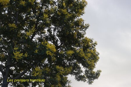 Séjour à la Londe les Maures (3ème jour), S&eacute;jour &agrave; la Londe les Maures 078