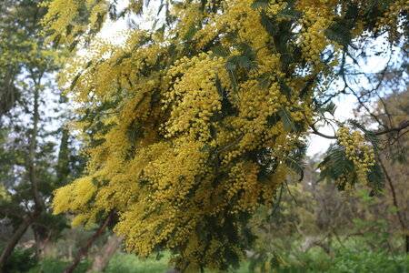 Séjour à la Londe les Maures (3ème jour), S&eacute;jour &agrave; la Londe les Maures 080