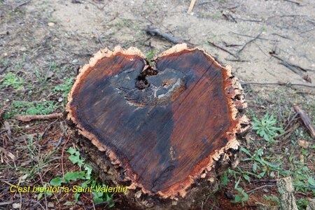 Séjour à la Londe les Maures (3ème jour), S&eacute;jour &agrave; la Londe les Maures 081