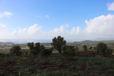 Séjour à la Londe les Maures (3ème jour), S&eacute;jour &agrave; la Londe les Maures 084