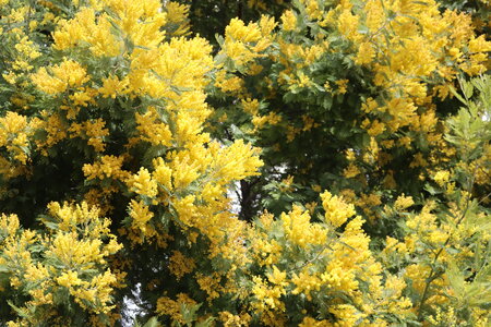 Séjour à la Londe les Maures (3ème jour), S&eacute;jour &agrave; la Londe les Maures 095