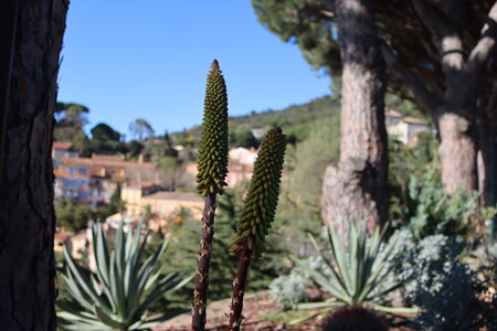Séjour à la Londe les Maures (3ème jour), S&eacute;jour &agrave; la Londe les Maures 097