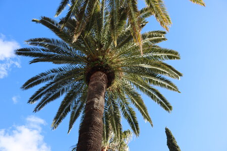 Séjour à la Londe les Maures (3ème jour), S&eacute;jour &agrave; la Londe les Maures 100