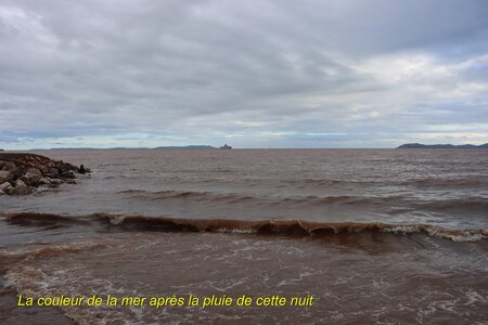 Séjour à la Londe les Maures (4ème jour), S&eacute;jour &agrave; la Londe les Maures 114