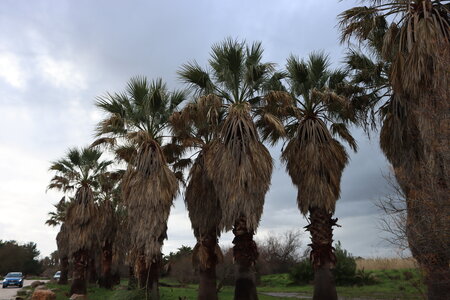 Séjour à la Londe les Maures (4ème jour), S&eacute;jour &agrave; la Londe les Maures 115