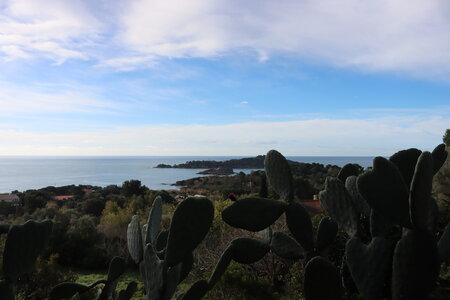 Séjour à la Londe les Maures (5ème jour), S&eacute;jour &agrave; la Londe les Maures 121
