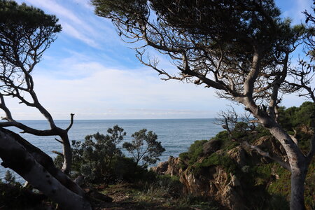 Séjour à la Londe les Maures (5ème jour), S&eacute;jour &agrave; la Londe les Maures 134
