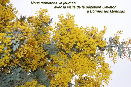 Séjour à la Londe les Maures (5ème jour), S&eacute;jour &agrave; la Londe les Maures 145