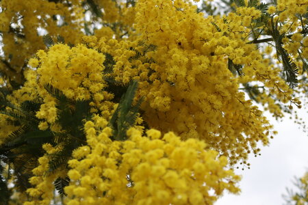 Séjour à la Londe les Maures (5ème jour), S&eacute;jour &agrave; la Londe les Maures 146