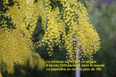 Séjour à la Londe les Maures (5ème jour), S&eacute;jour &agrave; la Londe les Maures 147