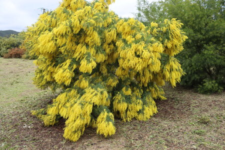 Séjour à la Londe les Maures (5ème jour), S&eacute;jour &agrave; la Londe les Maures 148