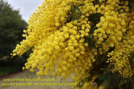 Séjour à la Londe les Maures (5ème jour), S&eacute;jour &agrave; la Londe les Maures 149
