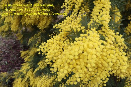 Séjour à la Londe les Maures (5ème jour), S&eacute;jour &agrave; la Londe les Maures 150