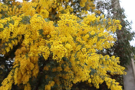 Séjour à la Londe les Maures (5ème jour), S&eacute;jour &agrave; la Londe les Maures 152