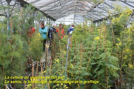 Séjour à la Londe les Maures (5ème jour), S&eacute;jour &agrave; la Londe les Maures 153