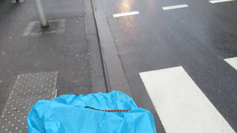 problemes_a_pied, vlcsnap-2026-02-11-13h48m51s514_