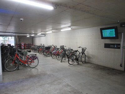 nancy_essey_les_nancy_voie_bus_tram_coronapiste, IMG_4918