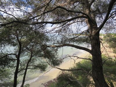 La Londe J2, IMG_1226