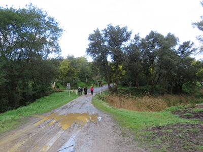 La Londe J3, IMG_1251