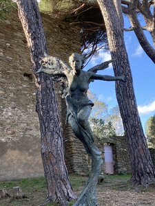 La Londe J3, IMG_3734