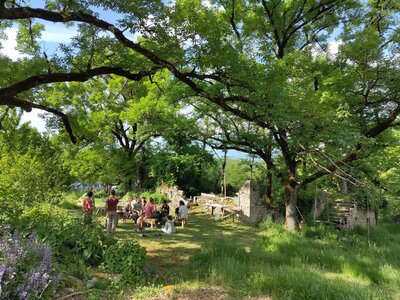 Evolutions à l'écolieu de Rhodes , 20250509_repas chantier sous les frenes