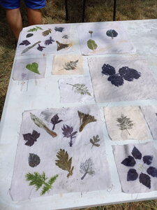 Evolutions à l'écolieu de Rhodes , 20250614_atelier