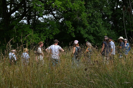 Evolutions à l'écolieu de Rhodes , 20250614_balade bota_nuits des for&ecirc;ts