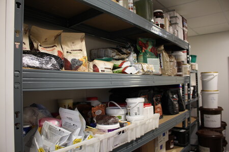 Satge chez le chocolatier, IMG_8184