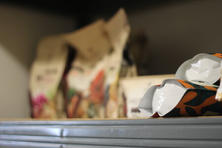 Satge chez le chocolatier, IMG_8153