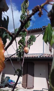 Tournefeuille, VueOuestDepuisCerisier